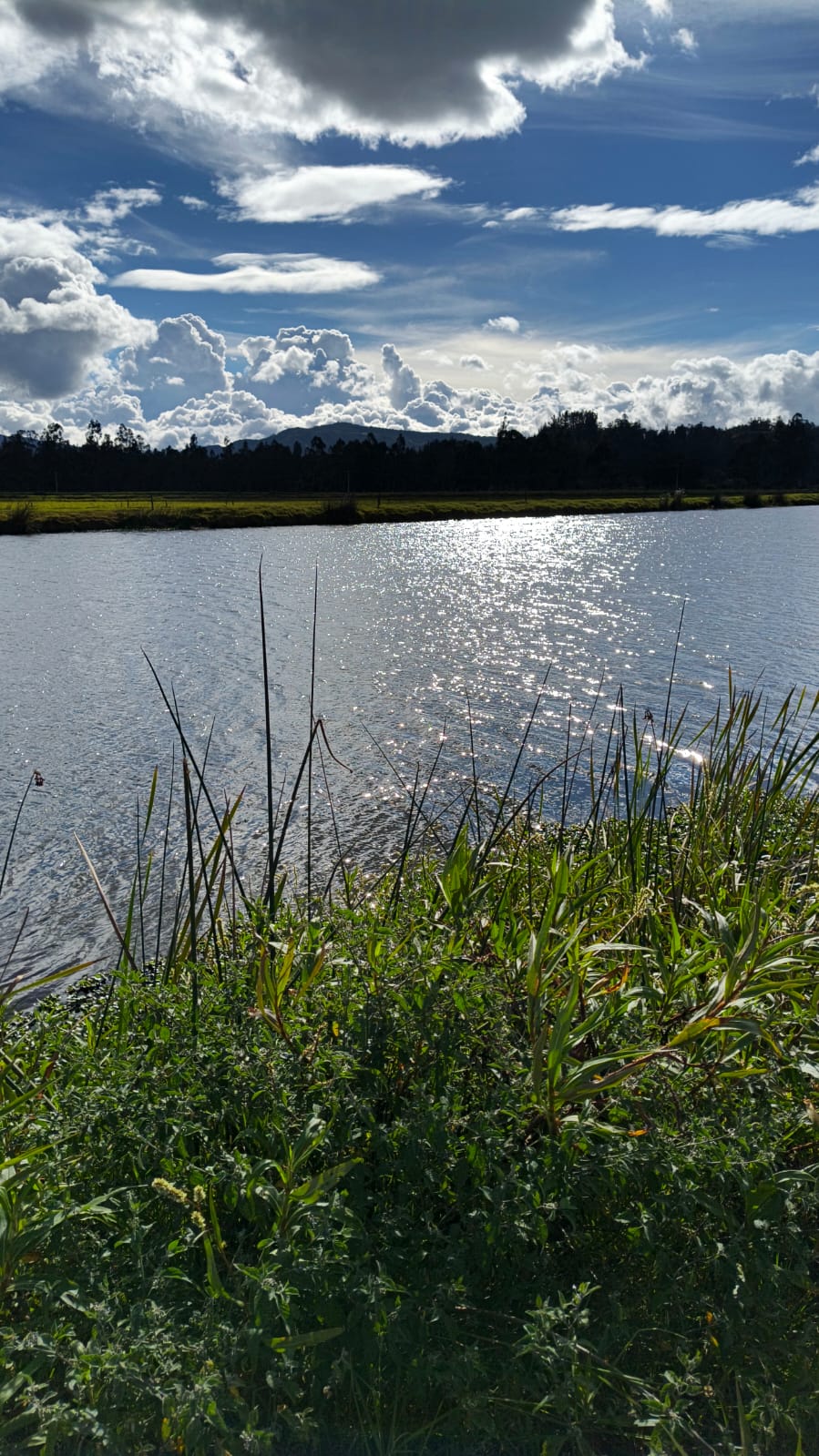 Humedal Ribereño de la Laguna de Fúquene